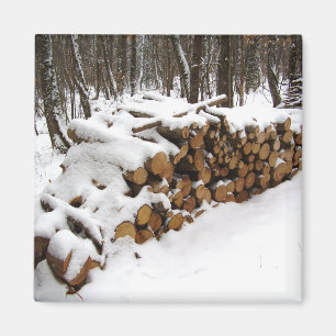 Logarithmus im Wald-Magnet Magnet