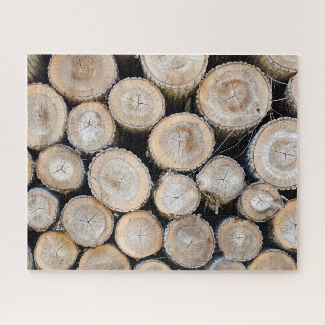 Logbuch (Horizontal)