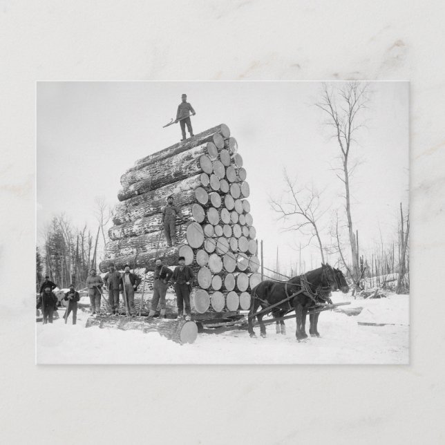 Logger am Arbeitsplatz, 1890 Postkarte (Vorderseite)