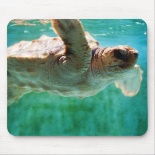 Loggerhead #1 Mousepad