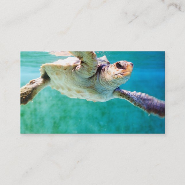 Loggerhead #3 Mini Print Visitenkarte (Vorderseite)
