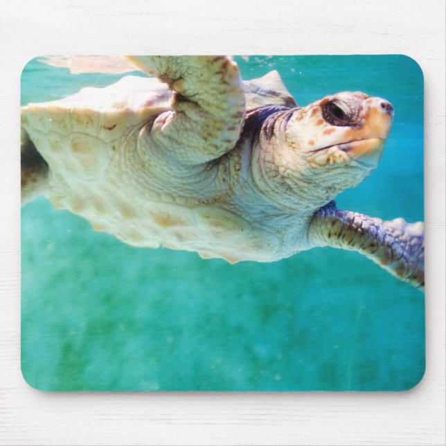 Loggerhead #3 Mousepad (Vorne)