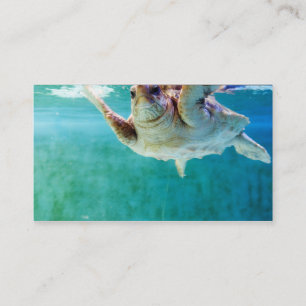 Loggerhead #5 Mini Print Visitenkarte