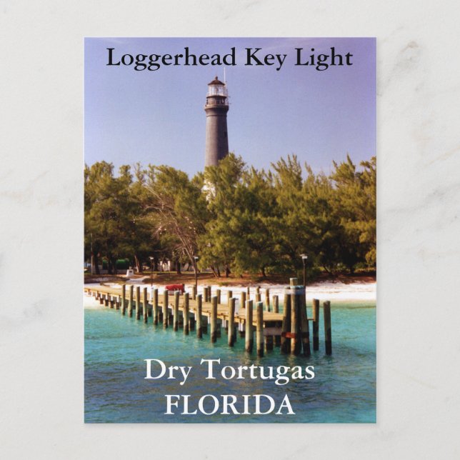 Loggerhead Key Lighthouse, Florida Postcard Postkarte (Vorderseite)