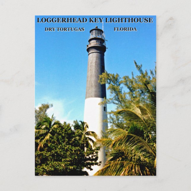Loggerhead Key Lighthouse, Florida Postcard Postkarte (Vorderseite)