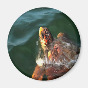 Loggerhead Sea Turtle Artistic Portrait Magnet