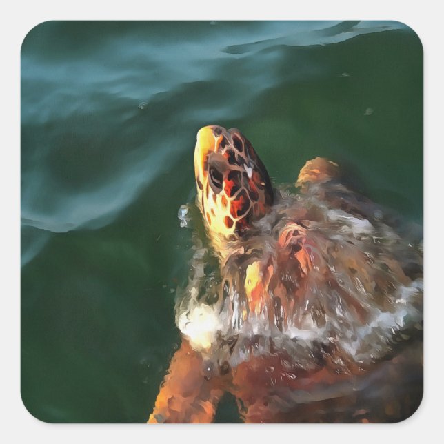 Loggerhead Sea Turtle Artistic Portrait Quadratischer Aufkleber (Vorderseite)
