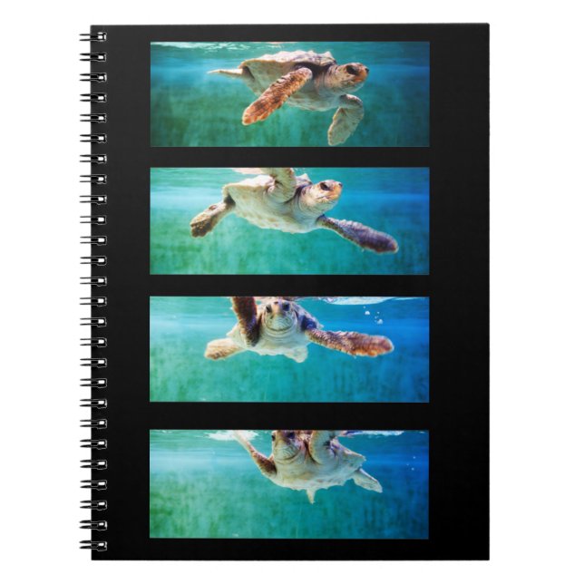 Loggerhead Sea Turtle Study Notebook Notizblock (Vorderseite)