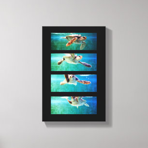 Loggerhead Sea Turtle Study Wrapped Canvas Leinwanddruck