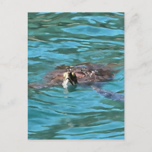 Loggerhead Sea Turtle Wildlife Art Postkarte
