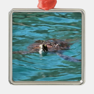 Loggerhead Sea Turtle Wildlife Art Silbernes Ornament