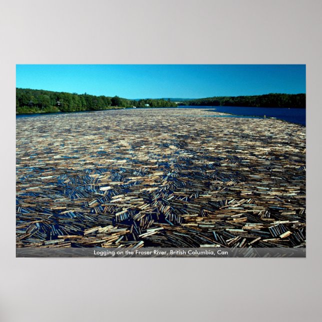 Logging auf dem Fraser River, British Columbia, Ca Poster (Vorne)