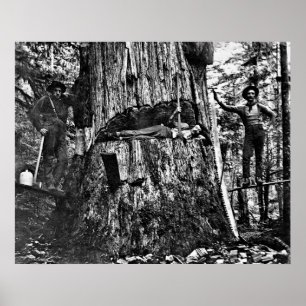 LOGGING CANADA c. 1890 Poster