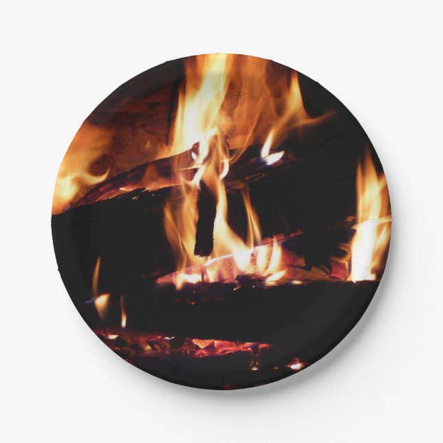 Loggt sich in der Feuer-Feuer-Fotografie ein Pappteller (Vorderseite)