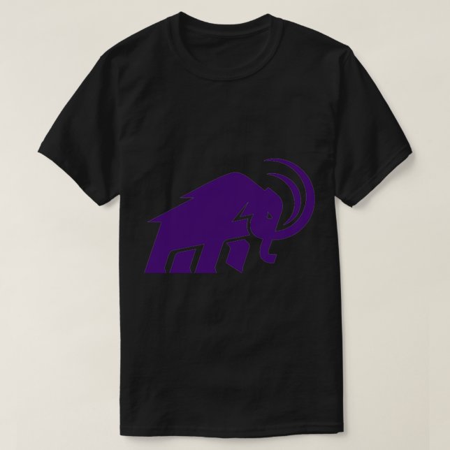 Logo-Aufkleber für Amherst-Uni T-Shirt (Design vorne)
