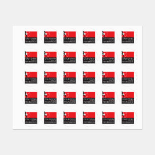 Logo CSP Stickers