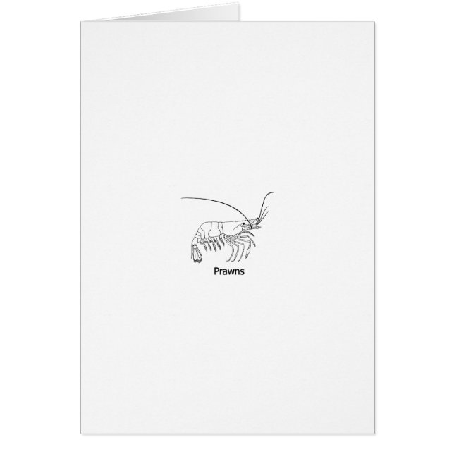 Logo de crevette rose (Devant)