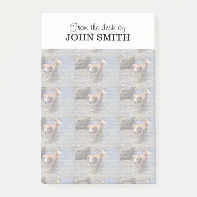 Logo de la famille de photos Notes Post-it® (Devant)