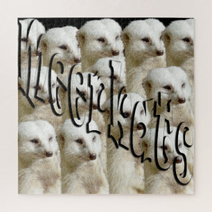 Logo der Meerkat Army,