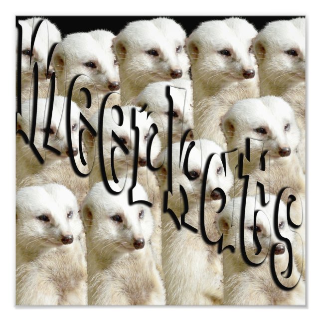 Logo der Meerkat Army, Fotodruck (Vorne)