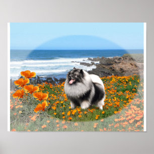 Logo-Kunstplakat des Keeshond nationales Poster