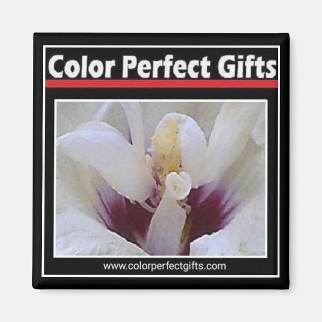 Logo-Magazin Magnet (Vorne)