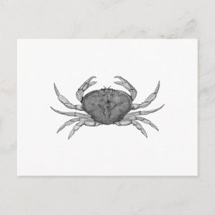 Logo von Dungeness Crab (Line Art. Postkarte
