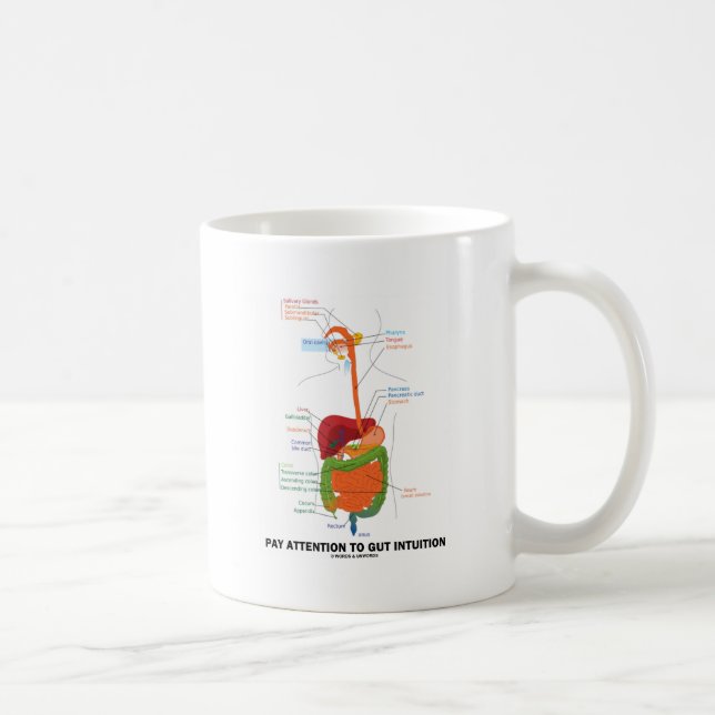 Lohn-Aufmerksamkeit zur Darm-Intuition Kaffeetasse (Rechts)