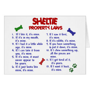 Lois 2 de propriété de SHELTIE
