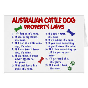 Lois AUSTRALIENNES 2 de propriété de CHIEN de