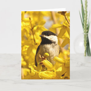 L'oiseau de Chickadee en jaune fleurit la carte