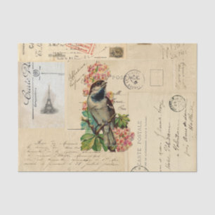 L'oiseau vintage fleurit le papier de soie de soie
