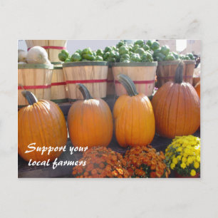 Lokale Bauer Postkarte