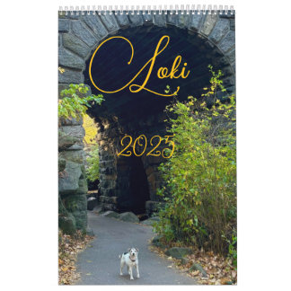 Loki 2025 kalender