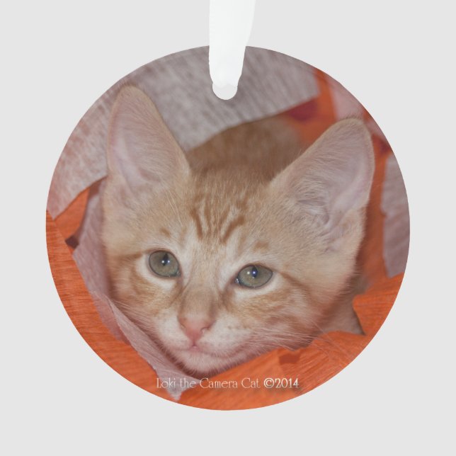 Loki in Orange u. in weißem Ornament (Vorderseite)