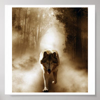 Loki Wolfdog