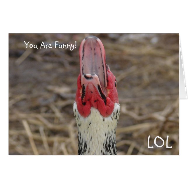 LOL, du bist lustig! (Vorderseite (Horizontal))