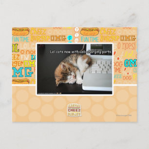 Lol Katzen mit USB Postkarte