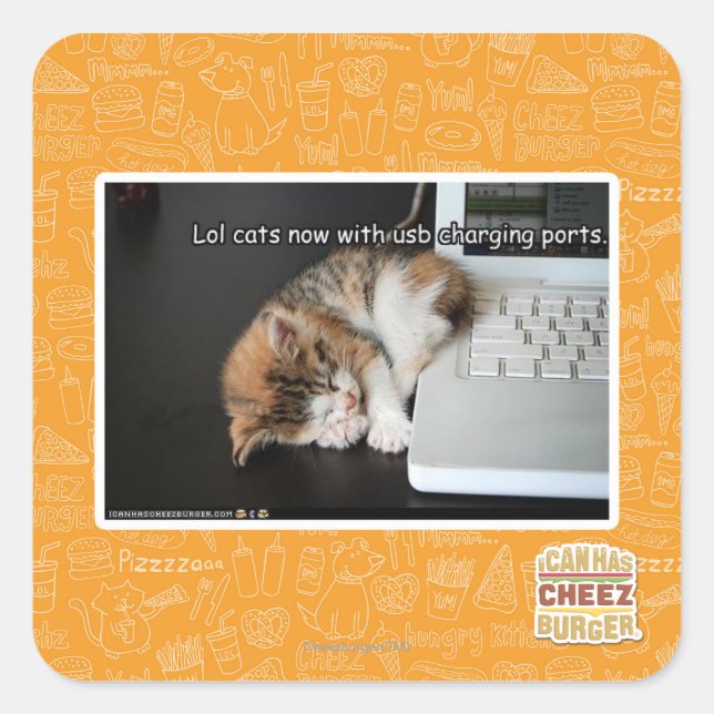 Lol Katzen mit USB Quadratischer Aufkleber (Vorderseite)