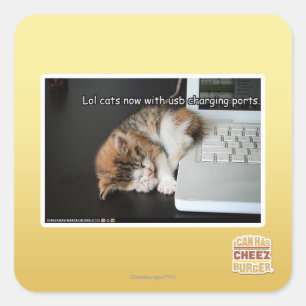 Lol Katzen mit USB Quadratischer Aufkleber