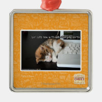 Lol Katzen mit USB