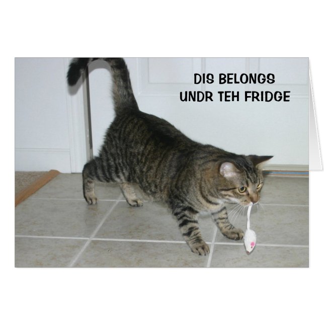 LOL Katzenkarte (Vorderseite (Horizontal))