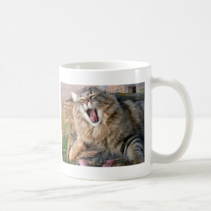 LOL Maine Coon Kaffeetasse