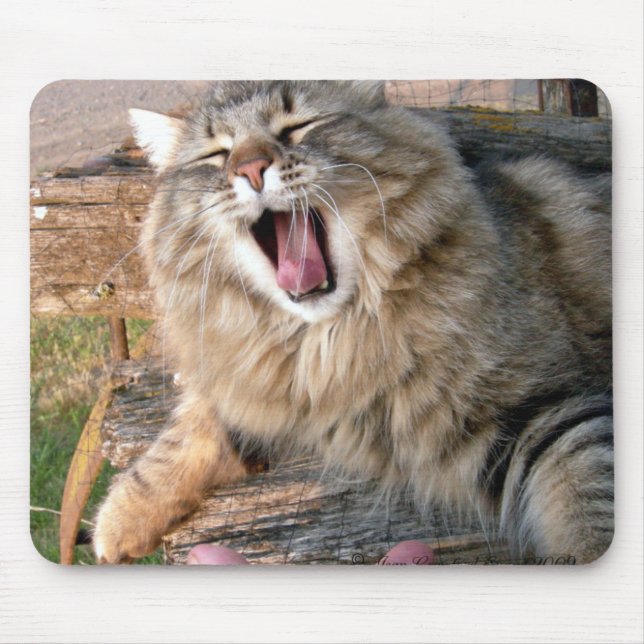 LOL Maine Coon Mousepad (Vorne)