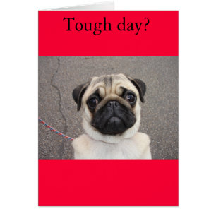 Lola sent votre douleur