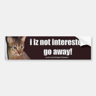 LOLCat 3 Autoaufkleber