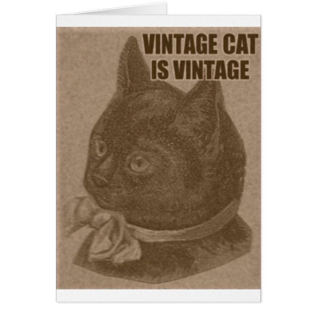 LOLcat d'antan (Devant)