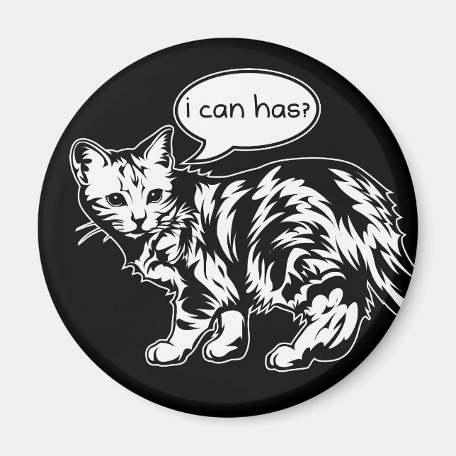 lolcat - ich kann es haben? magnet (Vorne)