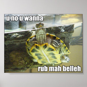 LOLturtle - Unebenheitsmilliamperestunde belleh Poster