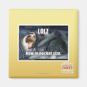 LOLZ jetzt in im Taschenformat Magnet